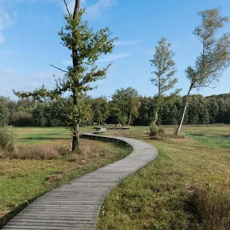 Gezellig Chalet Voor Gezinnen Op De Veluwe I Veldkamp F16