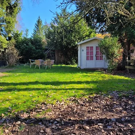 Gezellig Chalet Voor Gezinnen Op De Veluwe I Veldkamp F16 Chalet *