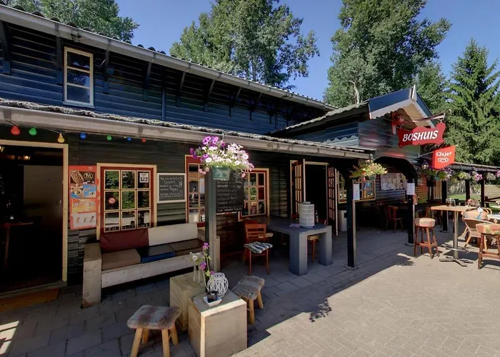 Gezellig Chalet Voor Gezinnen Op De Veluwe I Veldkamp F16 Epe