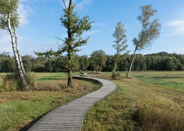 Gezellig Chalet Voor Gezinnen Op De Veluwe I Veldkamp F16