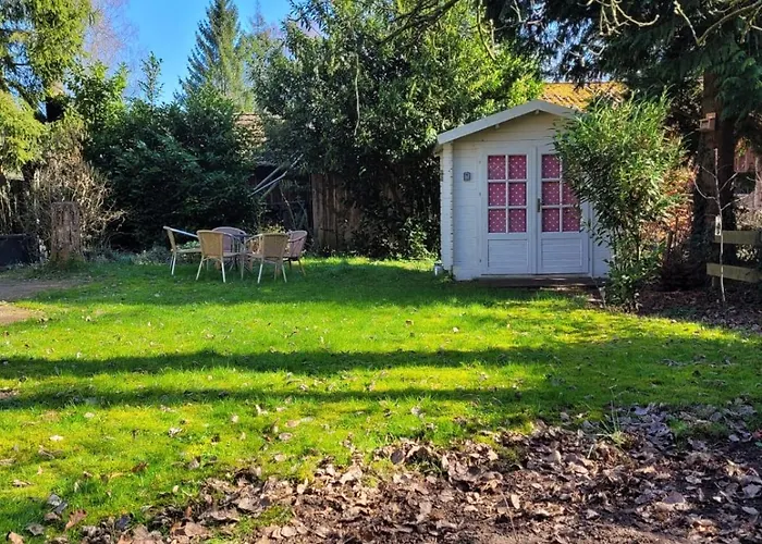 Gezellig Chalet Voor Gezinnen Op De Veluwe I Veldkamp F16 Chalet *